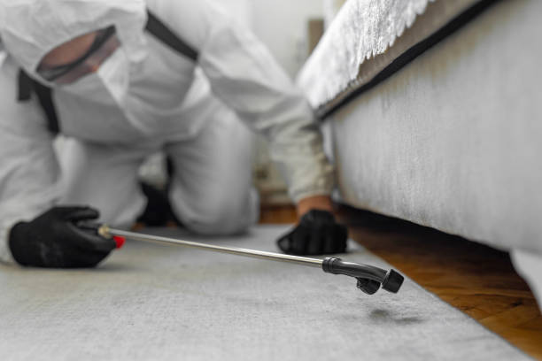 Professional Termite Control technician working in Blue Ridge, TX