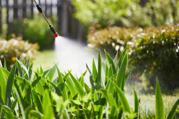 24/7 Emergency Termite Control experts in Blue Ridge, TX