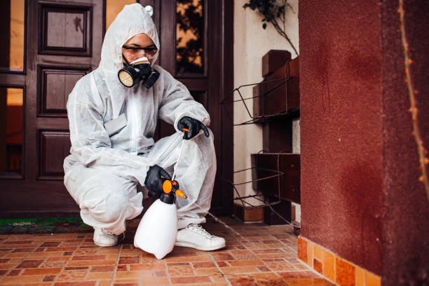 Reliable Termite Control contractor in Blue Ridge, TX by Nex Pest Control