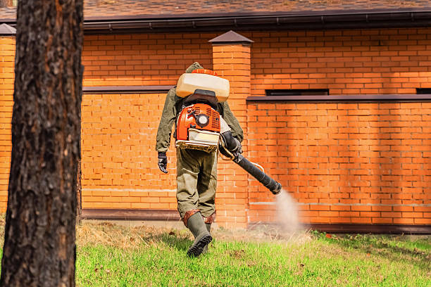 Trusted Bed Bug Control service in Blue Ridge, TX - Nex Pest Control